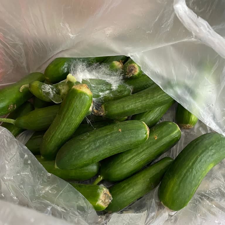 Arçelik Buzdolabı Yapılamayan Sorun