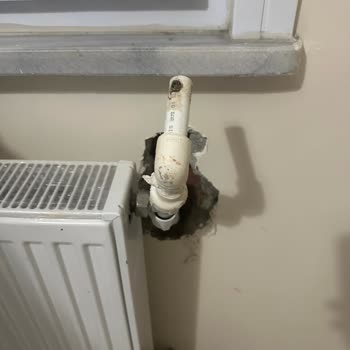 Beko Markasının Arkasında Olmayan Firma