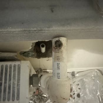 Beko Markasının Arkasında Olmayan Firma