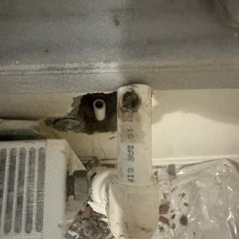 Beko Markasının Arkasında Olmayan Firma