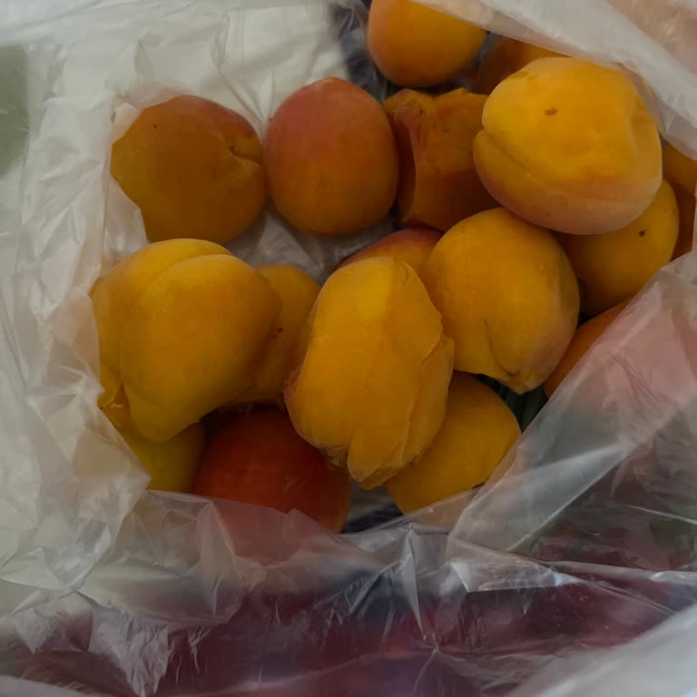 Migros Hemen Bozuk Ürün Getiriyor