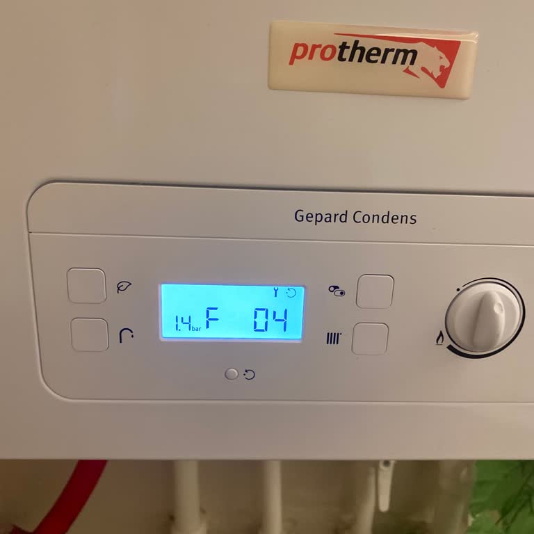 Неисправность котла марки Protherm