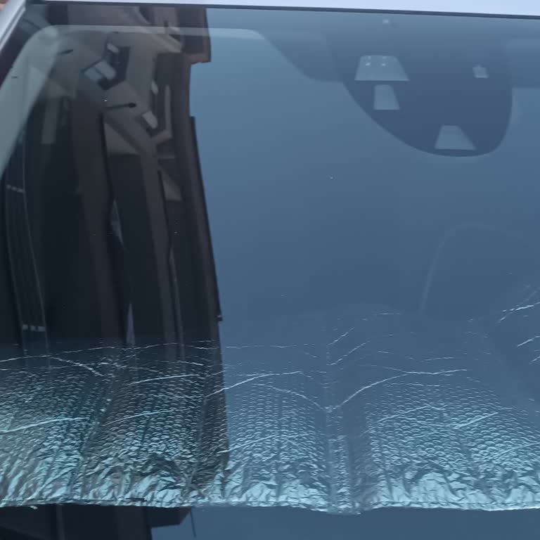 Honda Kronikleşmiş Boya Sorunu