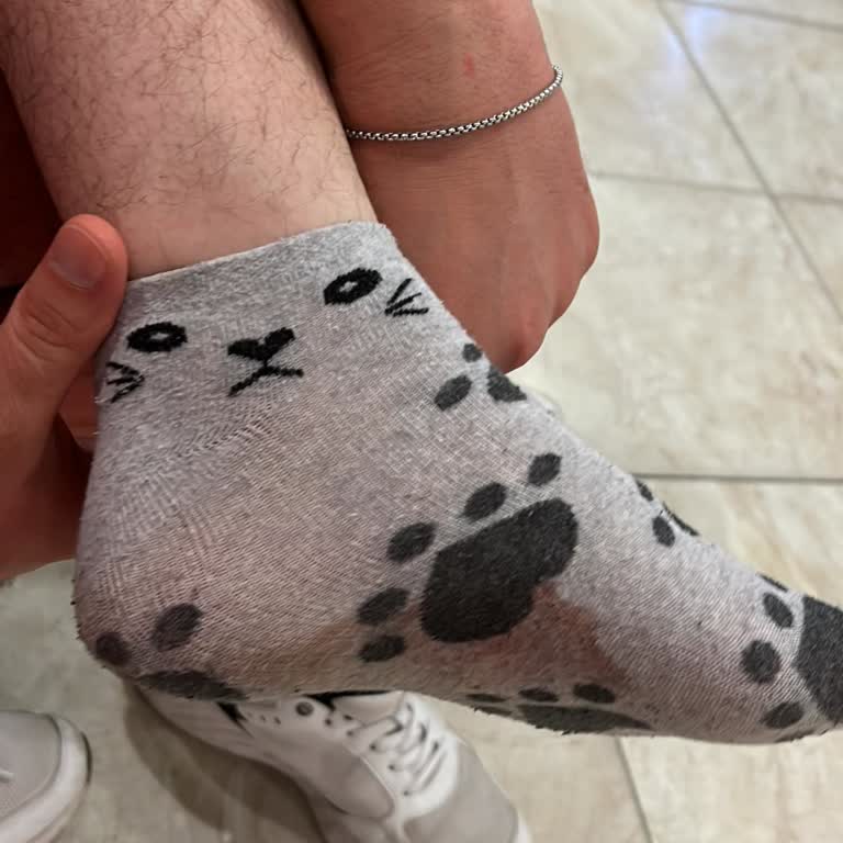 Çamlıköy Tabiat Parkı Kastro Deniz İçindeki Maddeler