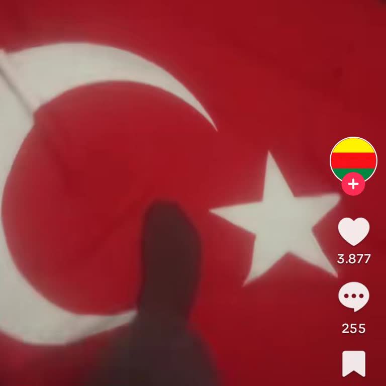 TikTok Türk Bayrağına Saygısızlık