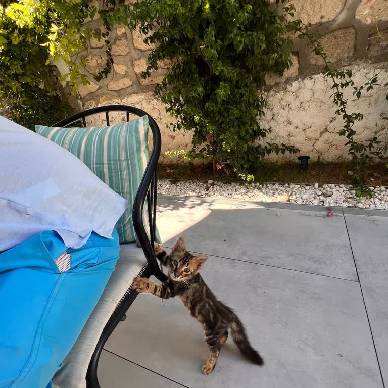 ETS Tur Müşteri Memnuniyetsizliği