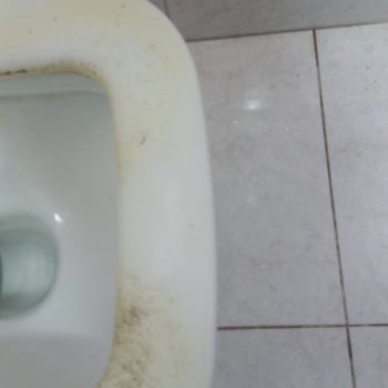 Kale Klozet Takımı Pişman Etti