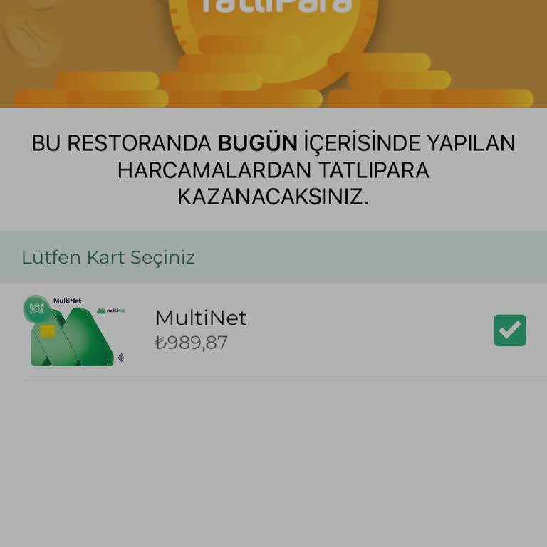 Multinet Parantez Sistemi Hatası