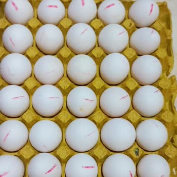 Paşa Çiftliği Yanıltıcı Bilgiyle Satılan Yumurta Ağırlıkları