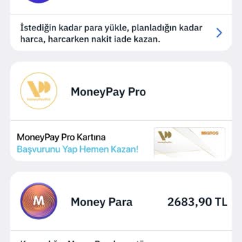MoneyPay Standart Hesabın Yükleme Limitini Açmıyor, Faiz İşletiyor