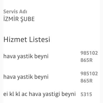 Dacia Hava Yastığı Arızası