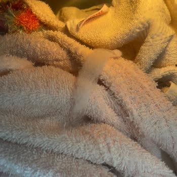 Beko Değişim Talep Ediyorum