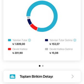 Türkiye Hayat Emeklilik Zorunlu BES Hesabı Ve Yüksek Kesintilerle Karşı Karşıya
