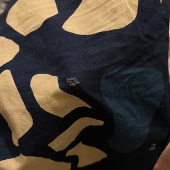 Hibboux.com Nevresim Mağduriyeti Hakkında