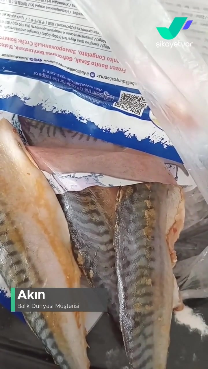 Balık Dünyası Sapsarı Çıktı, Bozuk Olduğunu Düşünüyorum! videonun kapak resmi