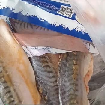 Balık Dünyası Sapsarı Çıktı, Bozuk Olduğunu Düşünüyorum!