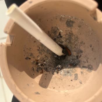 Philip Morris Onca Para Tütün Yerine Odun!