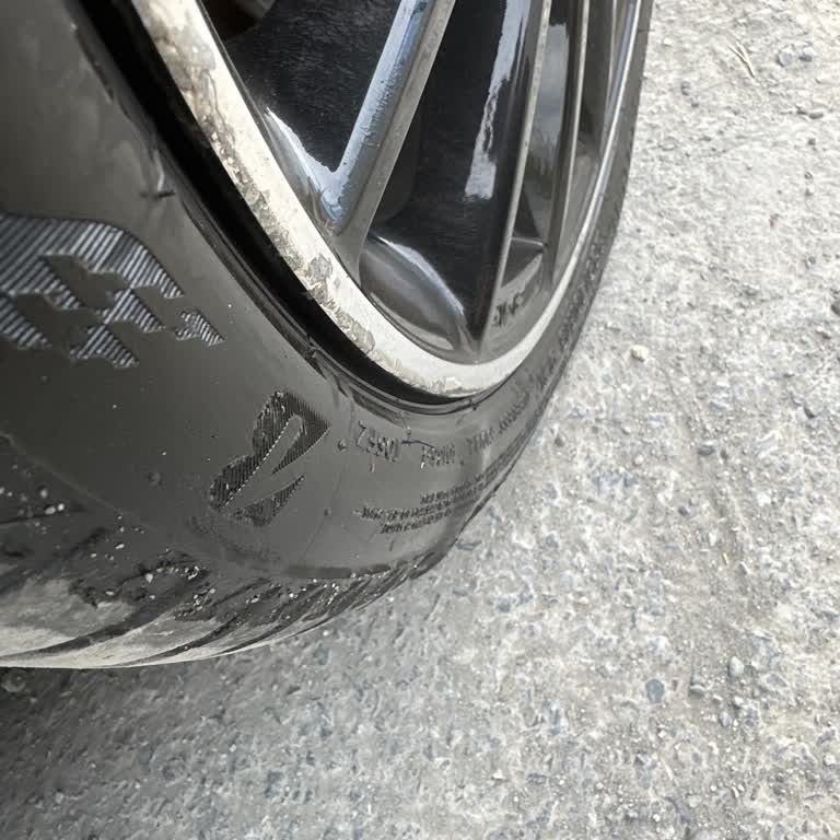 Carvak Satarken Kurumsal Sonrası?