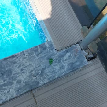 Sapanca'da Hayal Kırıklığı: Tatilimiz Kabusa Döndü