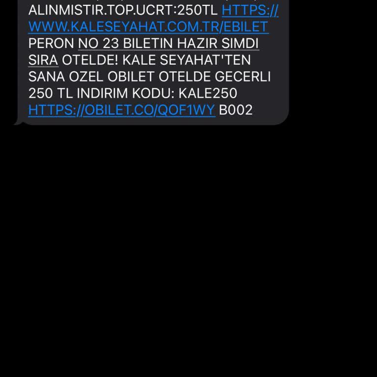 Kale Seyahat Saatlerde Gecikme Ve Yanlış Bilgi