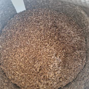 Nescafe Gold Granül Kahve Küflenmesi