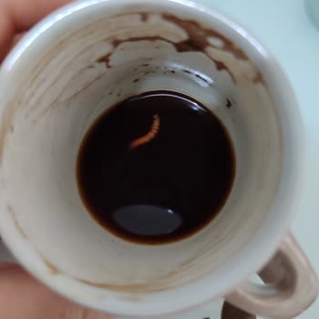 Abdullah Efendi İnsan Sağlığı İçin Lütfen Dikkat