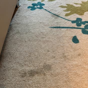 Titanic Deluxe Lara Titanic Sanırım Su Alıyor Kaptan Bir Şeyler Yapmalısın