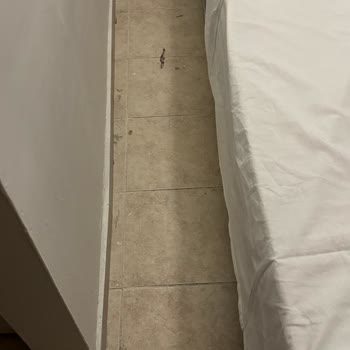 Club Sun Paradise Hotel Alanya'da Olumsuz Deneyim!