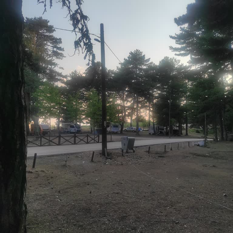 Keles Belediyesi Keles Ormanı Hevesini Kursağında Koyar İnsanin