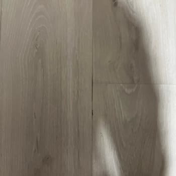 Bosch Yetkili Servisi Şikayetçiyim.