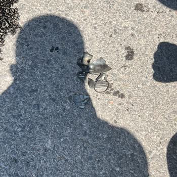 Elit Vale Park Vale Aracımı Mahvetti