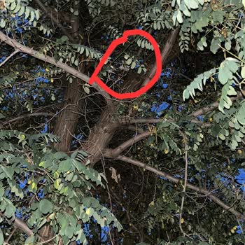 Şebinkarahisar İtfaiye Müdürlüğü Çağırıldıkları Halde Gelmeyen Personel!