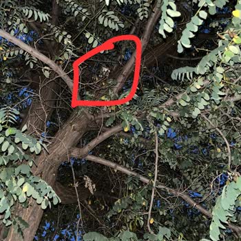 Şebinkarahisar İtfaiye Müdürlüğü Çağırıldıkları Halde Gelmeyen Personel!