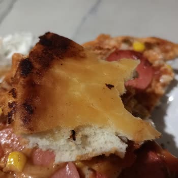 A101 Marketten Alınan Pizza Ürününde Böcek Sorunu