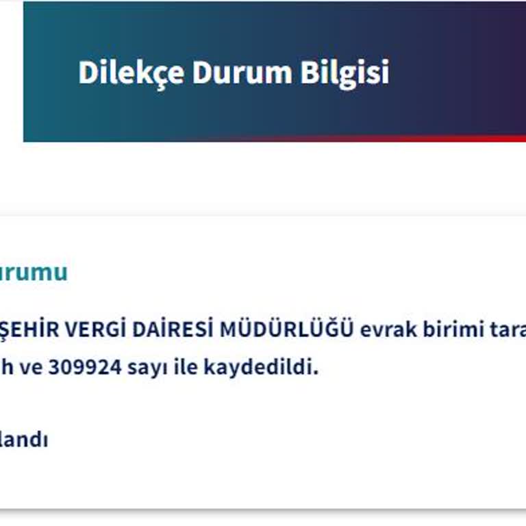 İnteraktif Vergi Dairesi Pasaport Harcı İadesi Yapılmaması