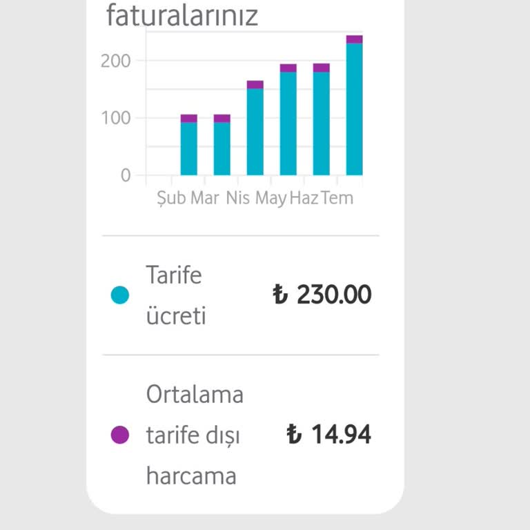 Vodafone Müşteri Temsilcisi İle Görüşmek