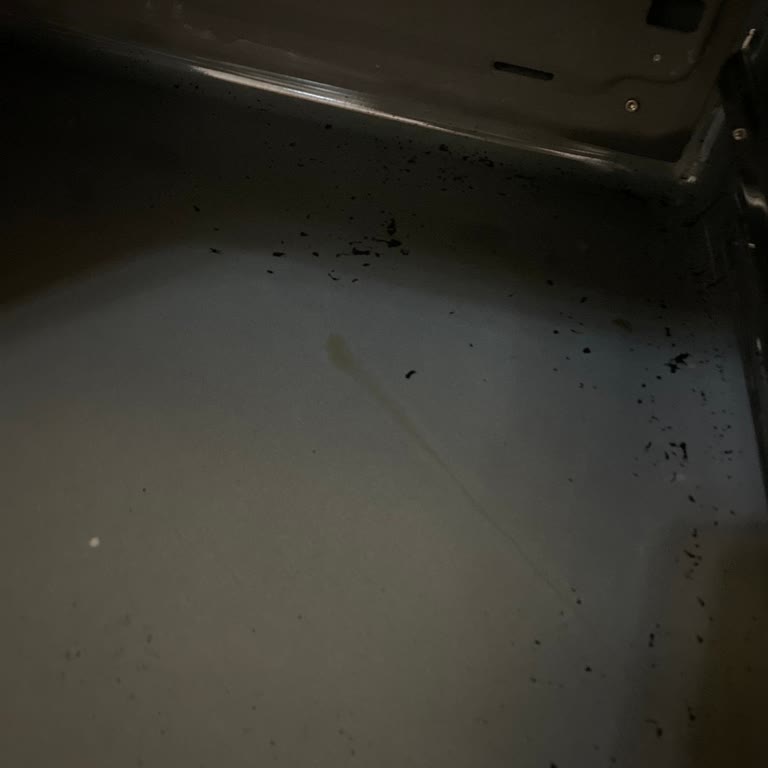 Bosch Marka Fırınım Lekeli