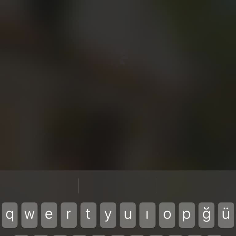 Instagram Müzik Arama Sorunu