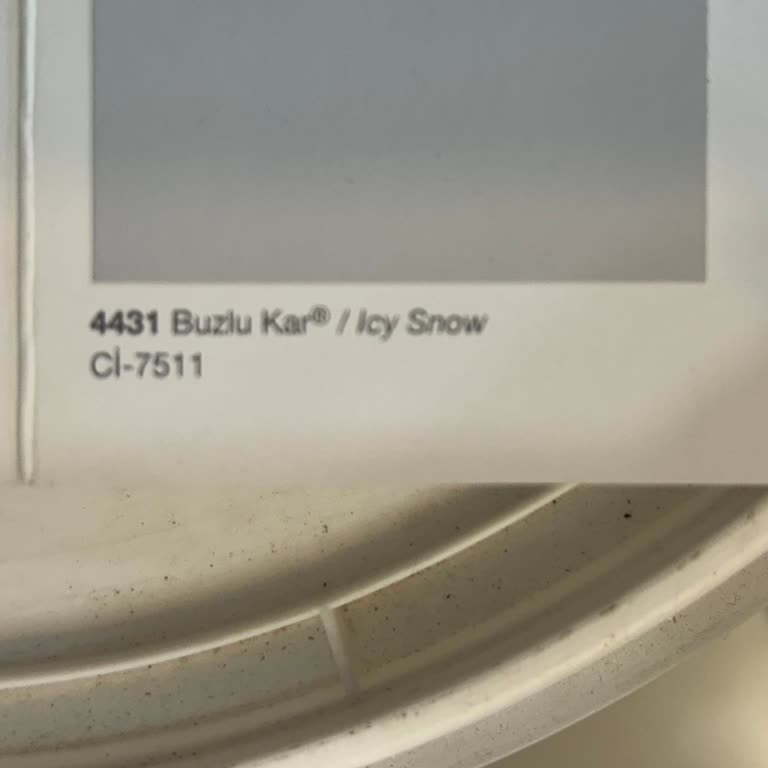 Polisan Buzlu Kar Lila Çıktı