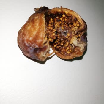 BİM Marketten Aldığım TARİŞ İncirlerin Küflü Ve Kurtlu Çıkması