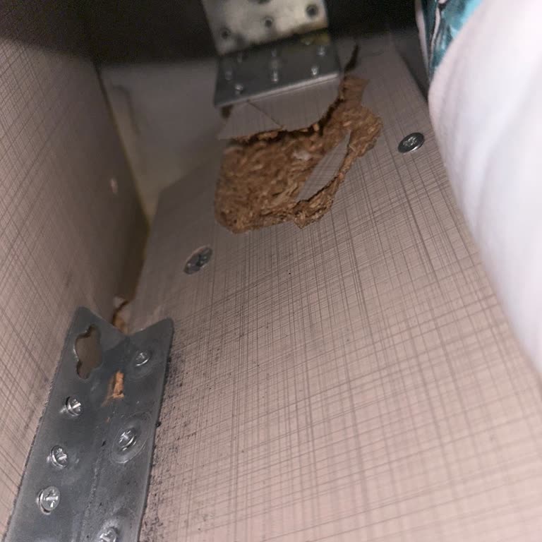 Arke Home Mobilya Arke Mobilya Ürünlerinde Kalite Sorunu