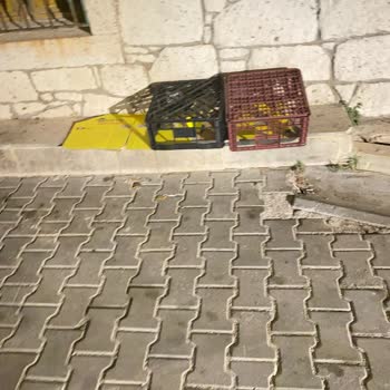 Şok Market, Çeşme Belediyesi Çevreye Saygı