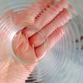 Samsung Ürünleri Ve Mağduriyetin.