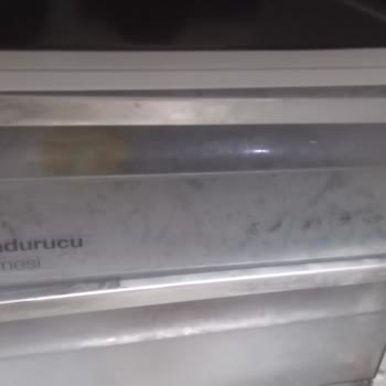 Vestel İn Dikkati Ne