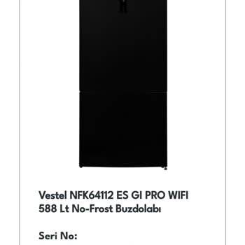 Vestel İn Dikkati Ne