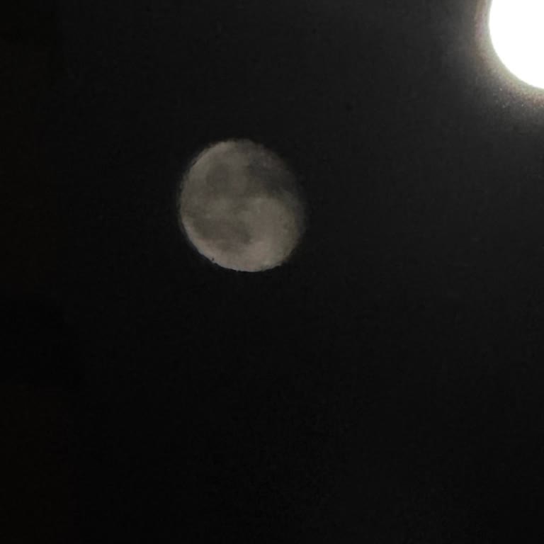 İPhone 15 Kamera Yansıma Sorunu