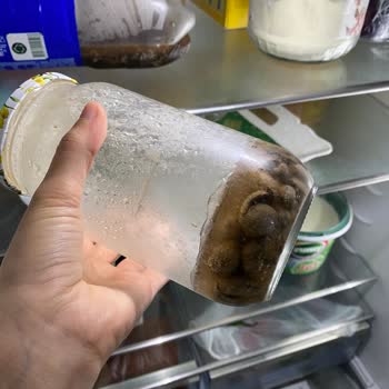 Profilo Ürünleri Donduran Bozuk Buzdolabı