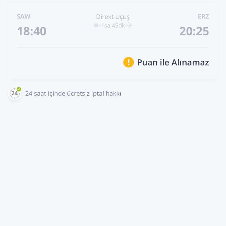 Pegasus Bol Bol Puan İle Bilet Alınmıyor