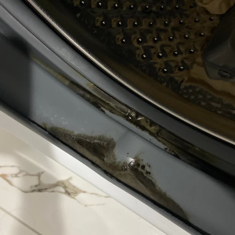 Arçelik Çamaşır Makinemin Lastiği Kararma Yaptı Garanti Kapsamına Girmiyor