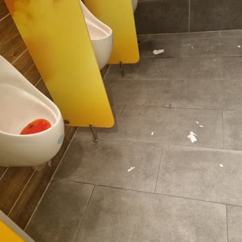 Shell İstasyonunda Kötü WC Ve Personel Davranışı